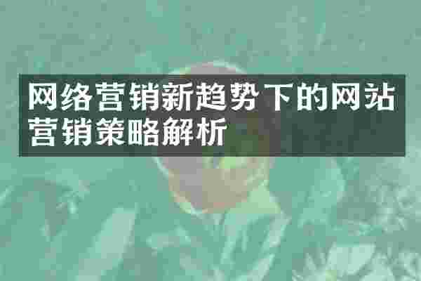 网络营销新趋势下的网站营销策略解析