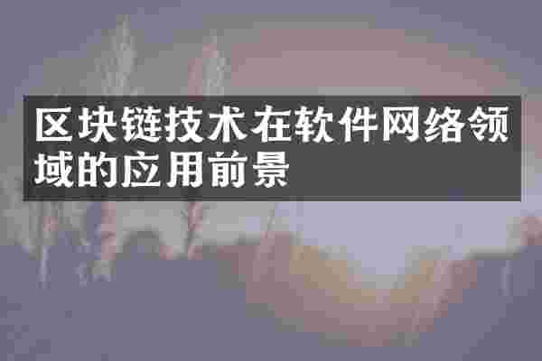 区块链技术在软件网络领域的应用前景