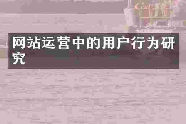网站运营中的用户行为研究