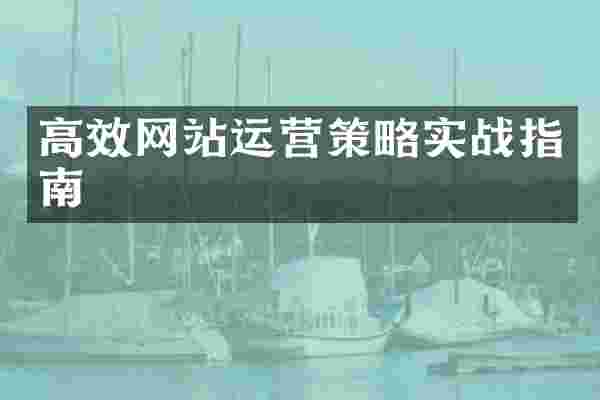高效网站运营策略实战指南