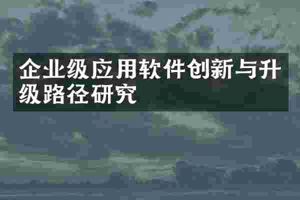 企业级应用软件创新与升级路径研究