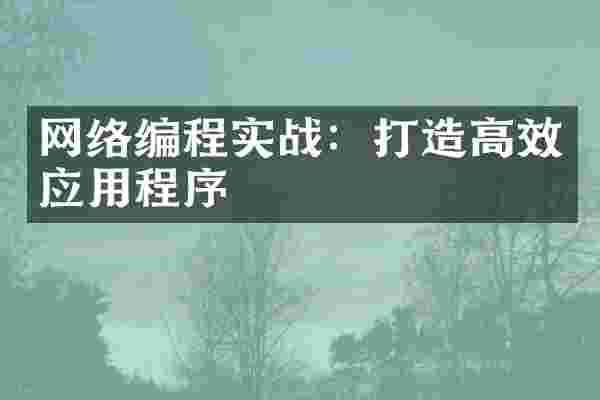 网络编程实战：打造高效应用程序