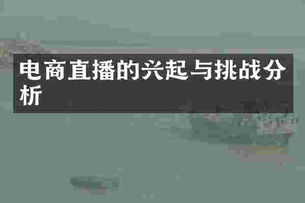 电商直播的兴起与挑战分析