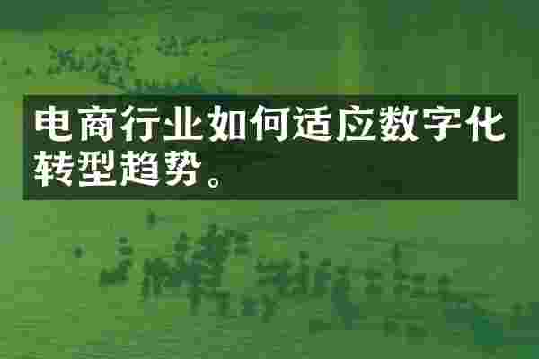 电商行业如何适应数字化转型趋势。