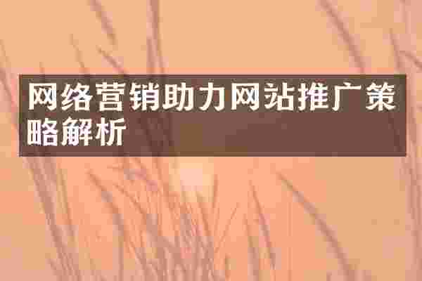 网络营销助力网站推广策略解析