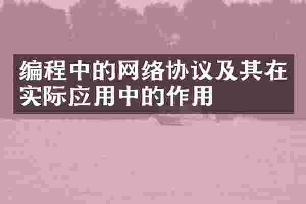 编程中的网络协议及其在实际应用中的作用