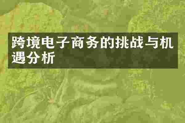 跨境电子商务的挑战与机遇分析