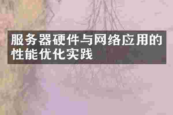 服务器硬件与网络应用的性能优化实践
