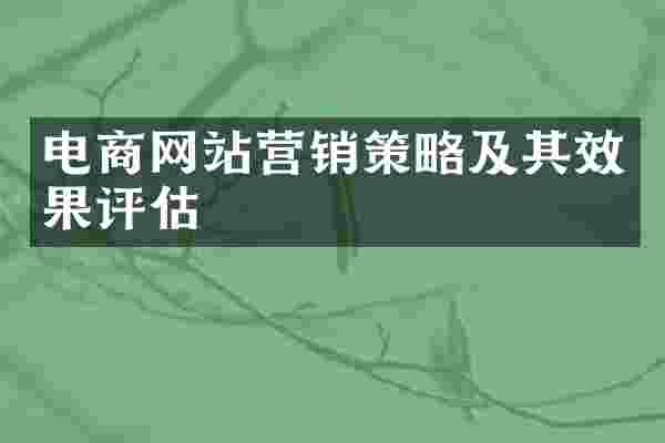 电商网站营销策略及其效果评估