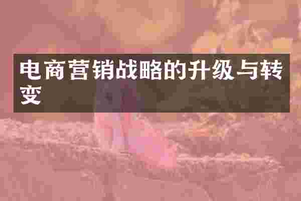 电商营销战略的升级与转变