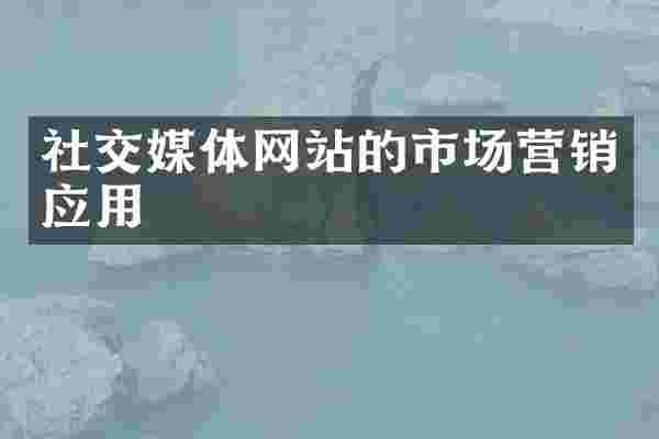 社交媒体网站的市场营销应用