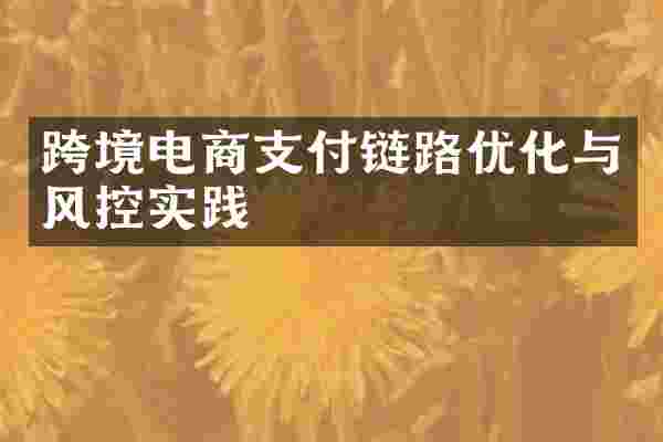 跨境电商支付链路优化与风控实践
