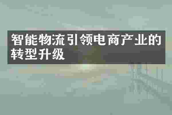智能物流引领电商产业的转型升级