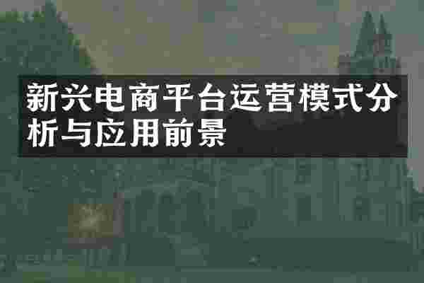 新兴电商平台运营模式分析与应用前景