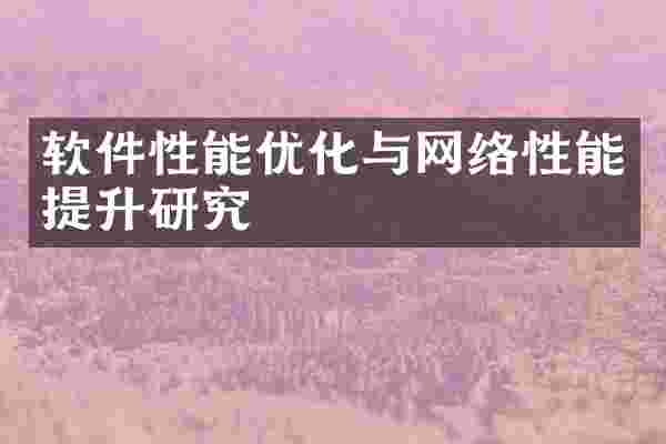 软件性能优化与网络性能提升研究