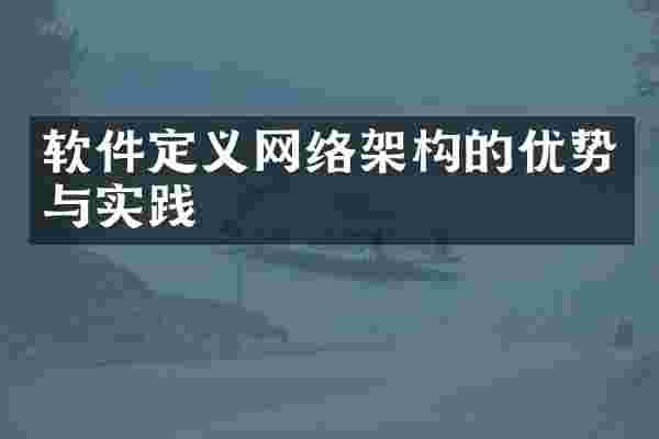 软件定义网络架构的优势与实践
