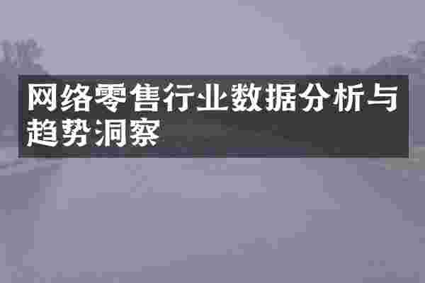 网络零售行业数据分析与趋势洞察