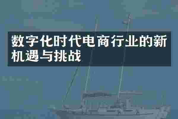 数字化时代电商行业的新机遇与挑战