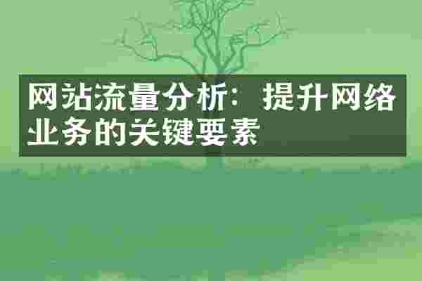 网站流量分析：提升网络业务的关键要素
