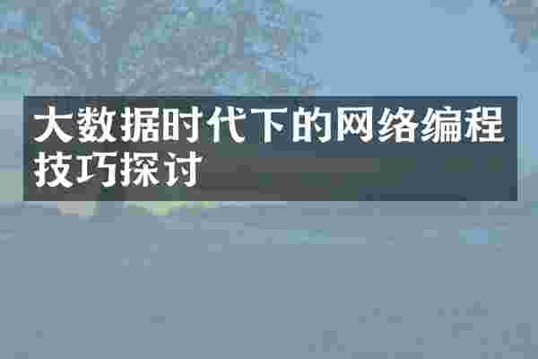 大数据时代下的网络编程技巧探讨