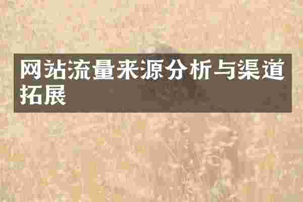 网站流量来源分析与渠道拓展