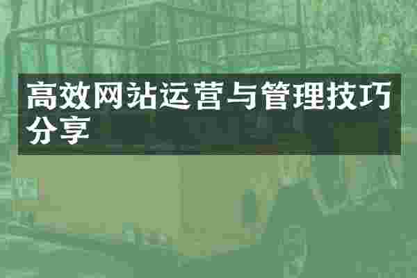 高效网站运营与管理技巧分享