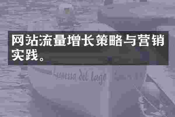 网站流量增长策略与营销实践。