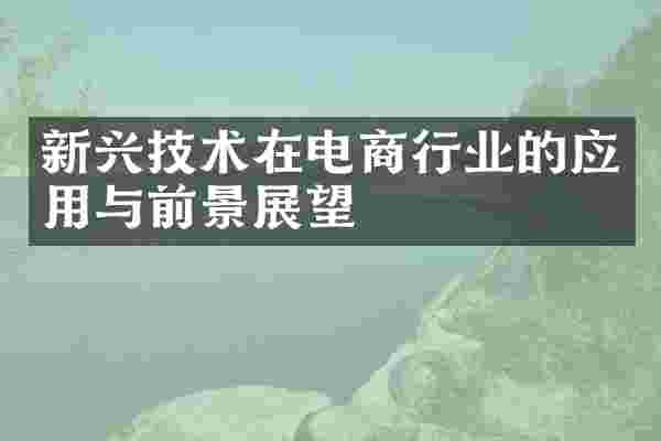 新兴技术在电商行业的应用与前景展望