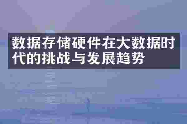 数据存储硬件在大数据时代的挑战与发展趋势