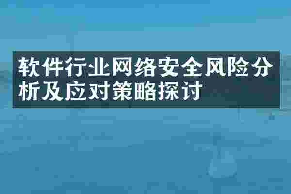 软件行业网络安全风险分析及应对策略探讨
