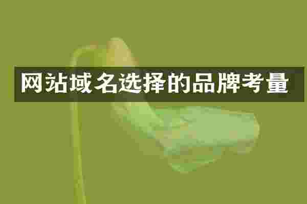 网站域名选择的品牌考量