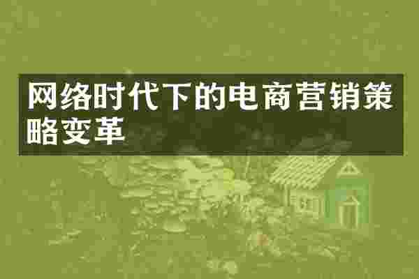 网络时代下的电商营销策略变革