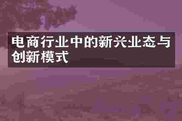 电商行业中的新兴业态与创新模式