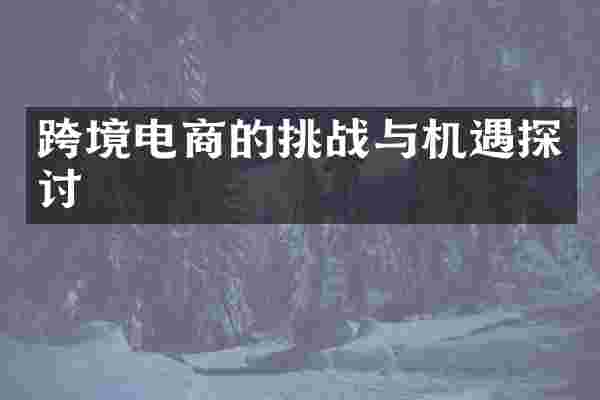 跨境电商的挑战与机遇探讨