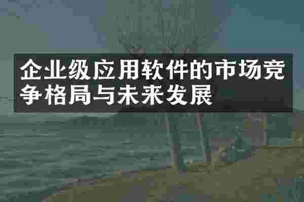 企业级应用软件的市场竞争格局与未来发展