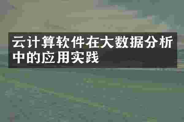 云计算软件在大数据分析中的应用实践
