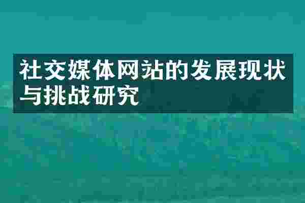 社交媒体网站的发展现状与挑战研究