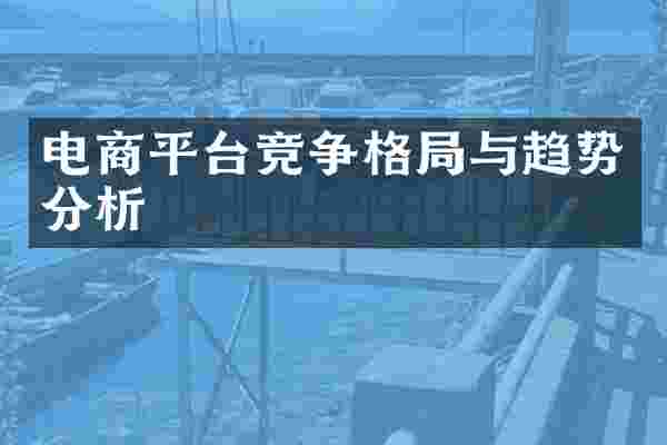 电商平台竞争格局与趋势分析
