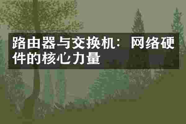 路由器与交换机：网络硬件的核心力量