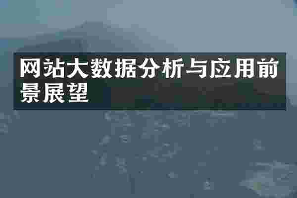 网站大数据分析与应用前景展望