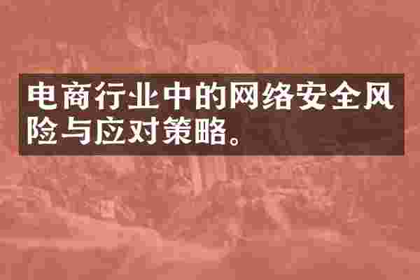 电商行业中的网络安全风险与应对策略。