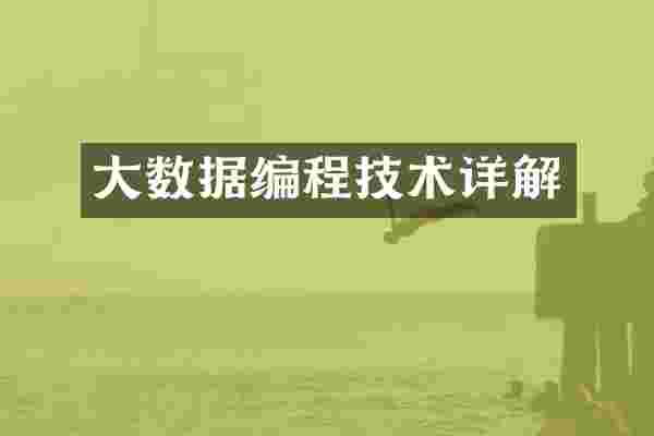 大数据编程技术详解