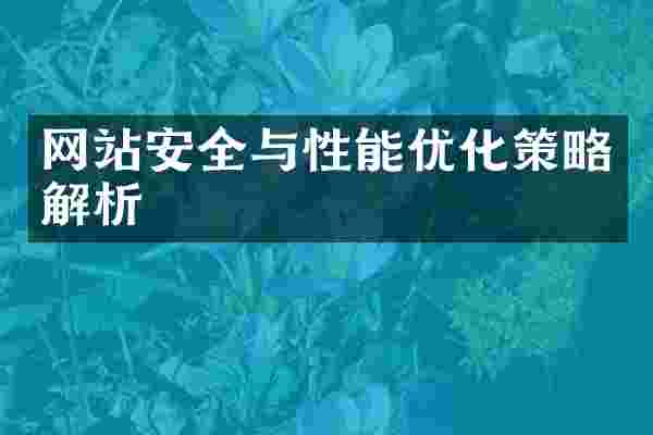 网站安全与性能优化策略解析