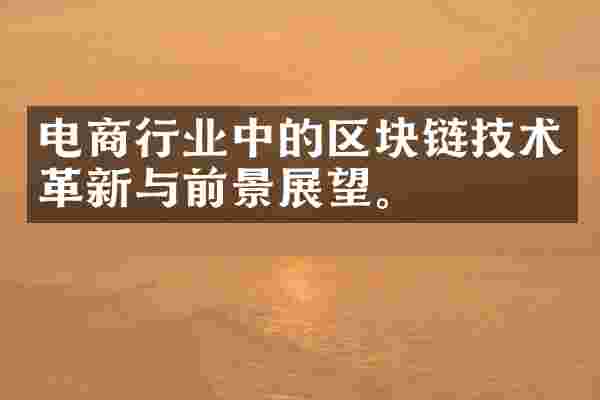 电商行业中的区块链技术革新与前景展望。