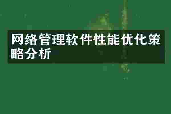 网络管理软件性能优化策略分析
