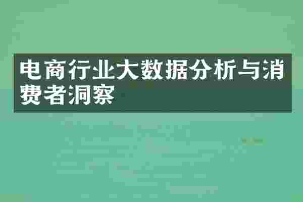 电商行业大数据分析与消费者洞察