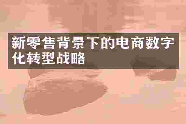 新零售背景下的电商数字化转型战略