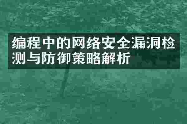 编程中的网络安全漏洞检测与防御策略解析